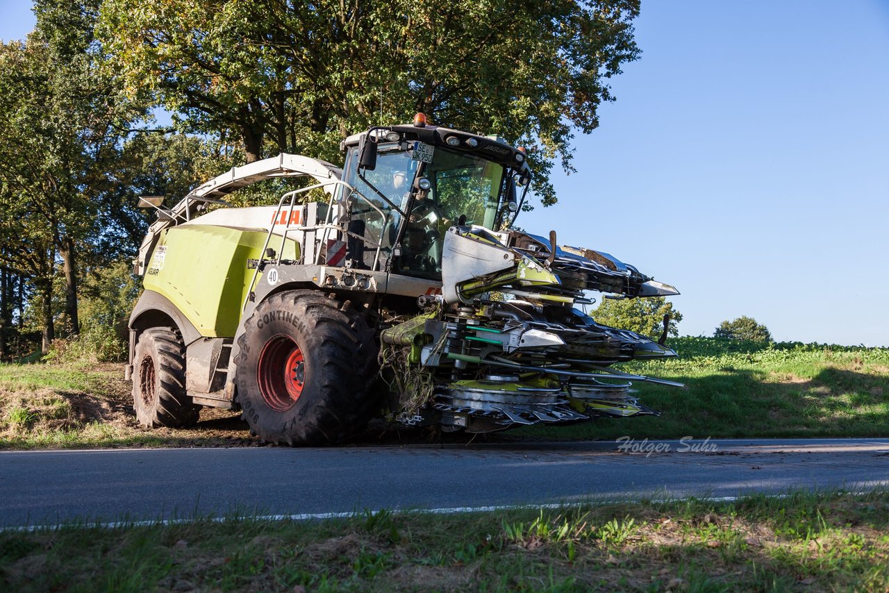 Bild 137 - Maisernte